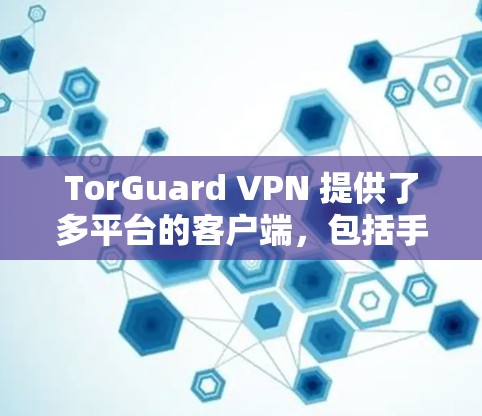 TorGuard VPN 提供了多平台的客户端,包括手机端的应用程序,这样你可以在手机上轻松连接并使用 VPN 服务。以下是使用 TorGuard VPN 手机客户端的详细说明