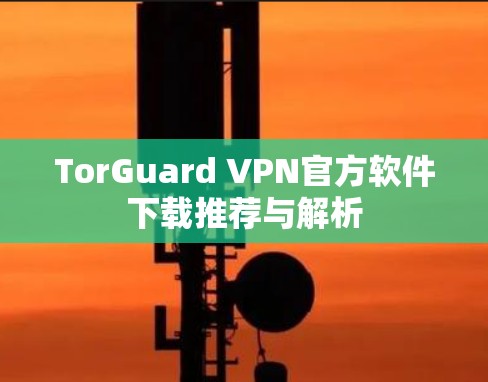 TorGuard VPN官方软件下载推荐与解析