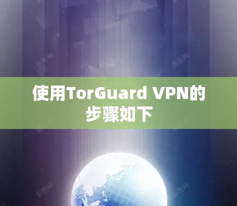 使用TorGuard VPN的步骤如下