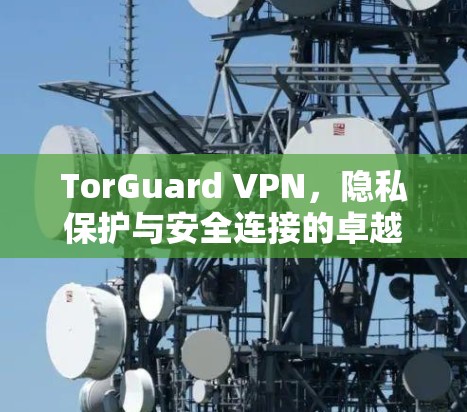 TorGuard VPN,隐私保护与安全连接的卓越方案
