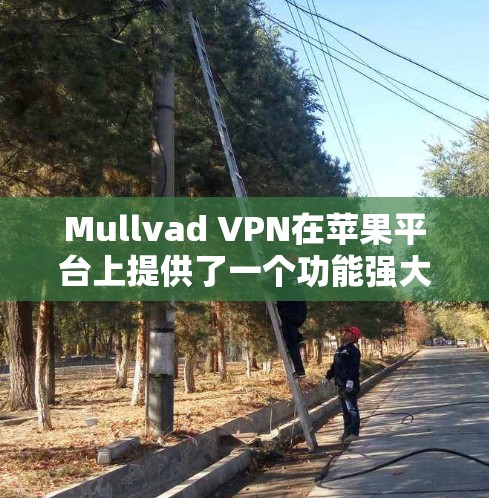 Mullvad VPN在苹果平台上提供了一个功能强大、安全且易用的应用，适合需要保护隐私和安全的用户。以下是对该应用的详细分析和总结