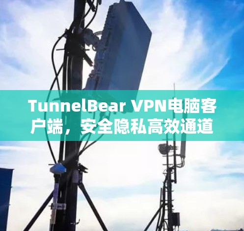 TunnelBear VPN电脑客户端，安全隐私高效通道