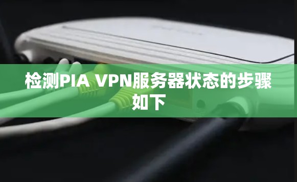 检测PIA VPN服务器状态的步骤如下