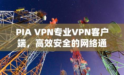 PIA VPN专业VPN客户端，高效安全的网络通信解决方案