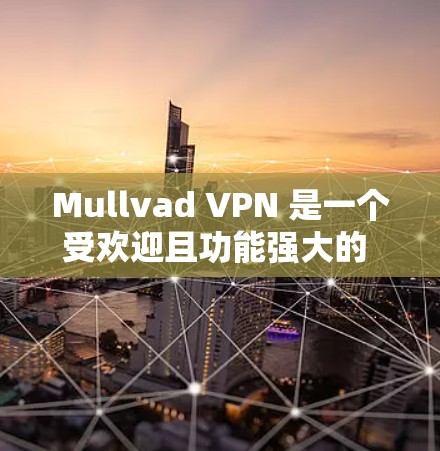 Mullvad VPN 是一个受欢迎且功能强大的 VPN 服务提供商，以下是其主要优点和特点