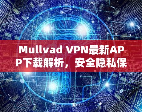 Mullvad VPN最新APP下载解析,安全隐私保护新方案 Mullvad VPN最新APP下载解析,安全隐私保护新方案