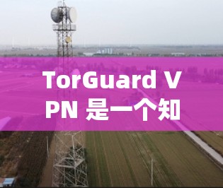 TorGuard VPN 是一个知名的 VPN 服务提供商,已知可靠且提供安全的匿名网络连接。以下是关于如何下载 TorGuard VPN 的详细指南