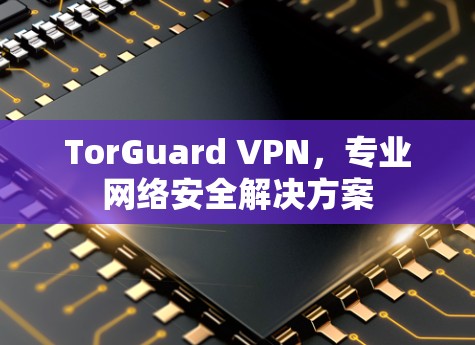 TorGuard VPN,专业网络安全解决方案
