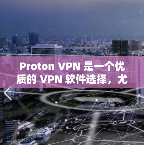 Proton VPN 是一个优质的 VPN 软件选择,尤其在隐私保护方面表现突出。以下是对其的详细分析和总结