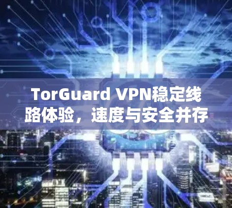 TorGuard VPN稳定线路体验,速度与安全并存的最佳选择