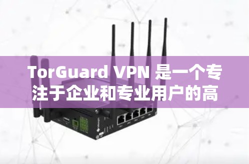 TorGuard VPN 是一个专注于企业和专业用户的高端 VPN 服务，提供安全、隐私保护和高性能的网络连接。其专业客户端功能强大，适合需要高级网络安全和管理的用户