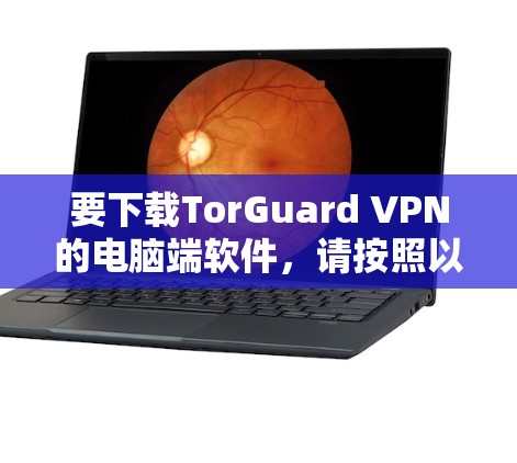 要下载TorGuard VPN的电脑端软件，请按照以下步骤操作