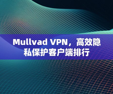 Mullvad VPN,高效隐私保护客户端排行 Mullvad VPN,高效隐私保护客户端排行