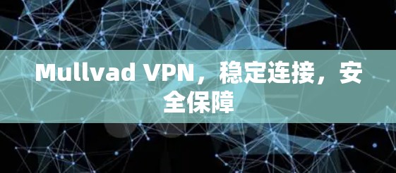 Mullvad VPN,稳定连接,安全保障