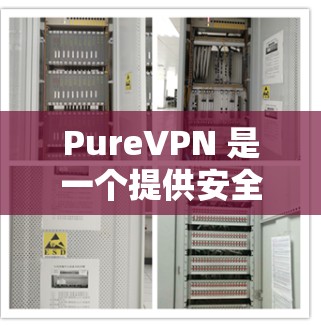 PureVPN 是一个提供安全 VPN 服务的工具,旨在帮助用户保护隐私和安全。以下是一些关于 PureVPN 的详细信息