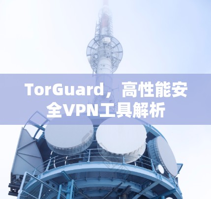 TorGuard,高性能安全VPN工具解析