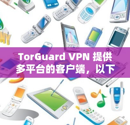TorGuard VPN 提供多平台的客户端，以下是几款热门客户端的推荐