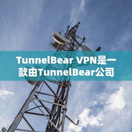 TunnelBear VPN是一款由TunnelBear公司开发的网络安全应用程序，提供VPN服务，保护用户隐私和网络安全。以下是获取TunnelBear VPN正版软件的建议步骤