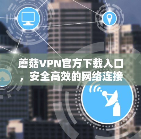 蘑菇VPN官方下载入口,安全高效的网络连接解决方案