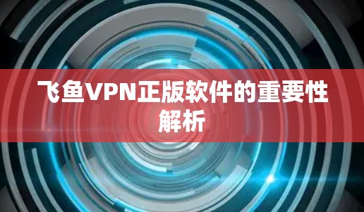 飞鱼VPN正版软件的重要性解析