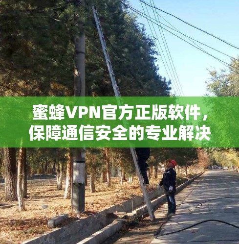 蜜蜂VPN官方正版软件,保障通信安全的专业解决方案