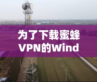 为了下载蜜蜂VPN的Windows版，请按照以下步骤操作